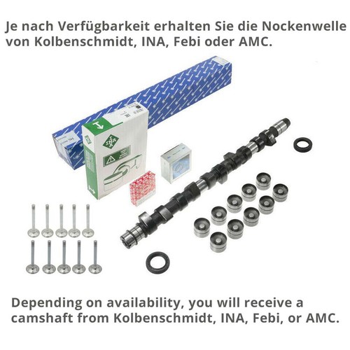 Camshaft hydraulic tappet - camshaft, +