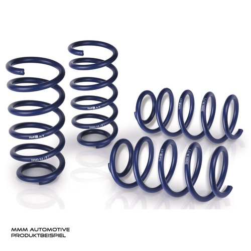 Lowering springs 30 - springs,