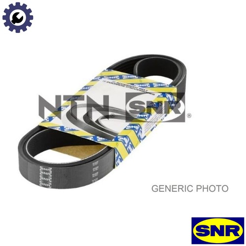 Vribbed belt ca6pk1683 for - vribbed, vw