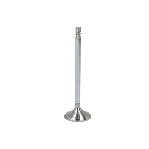 Intake valve fits - intake, fits: