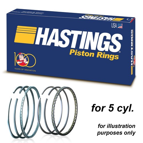 Hastings piston ring kit - hastings,